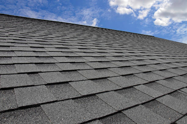 Best Roof Ventilation Installation  in Chesterland, OH